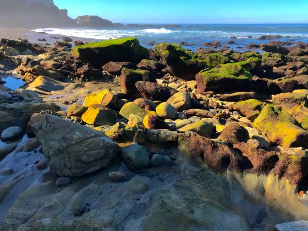istock Laguna Beach, California 1248589143