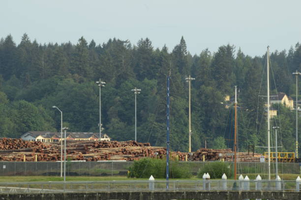 istock Lumber Mill By The Water 1248592838