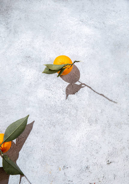 istock Whole oranges witl orange tree leaves on white background around empty plate. top view, flat lay, summer and healthy concept. Mockup 1248593071
