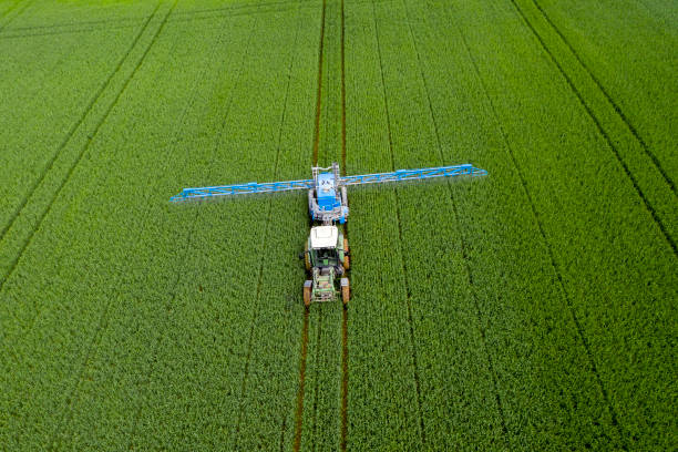 istock Tractor spraying wheat field, aerial view 1248593094
