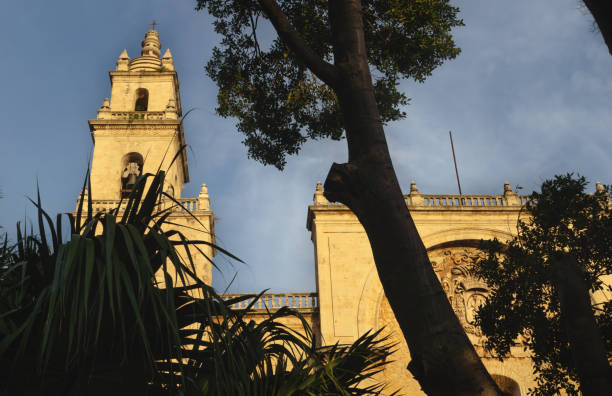 istock Cathedral of Merida 'San Ildefonso' during last sun behind trees, Merida, Yucatan, Mexico 1248594331