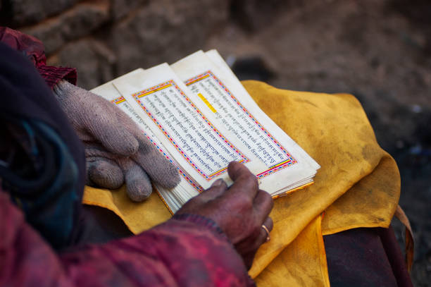 istock Gyantse, Tibet, China 1248594781