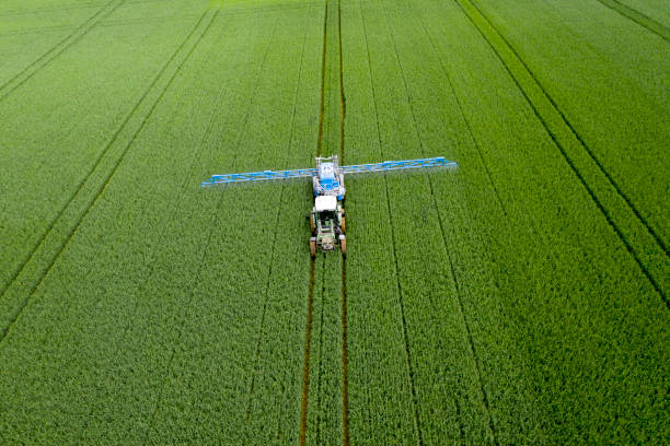 istock Tractor spraying wheat field, aerial view 1248594808