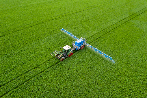 Aerial view of agricultural tractor spraying wheat field.