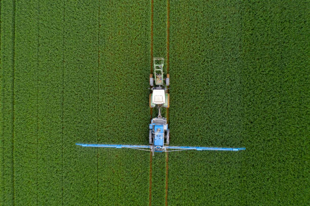 istock Tractor spraying wheat field, aerial view 1248597176
