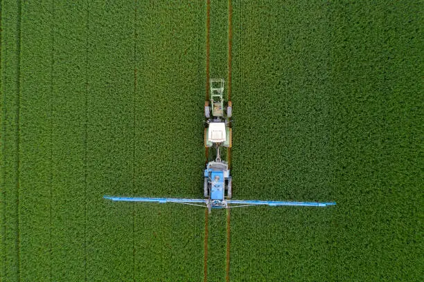 Aerial view of agricultural tractor spraying wheat field.