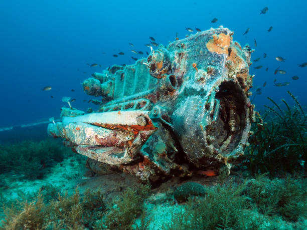 stuka wreck en tierra oceánica - styka fotografías e imágenes de stock