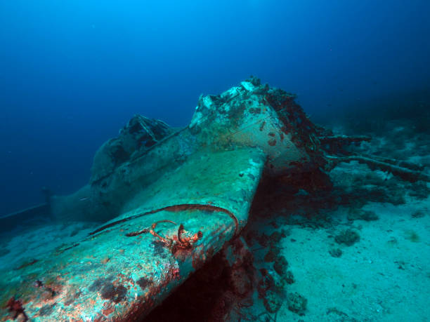 stuka wreck en tierra oceánica - styka fotografías e imágenes de stock