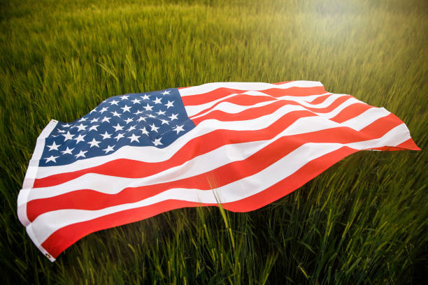 istock American flag lying on the grass 1248604194