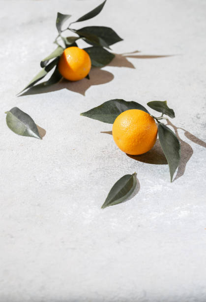 istock Whole oranges witl orange tree leaves on white background copy space 1248604234