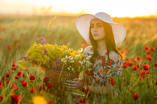 Young adult beautiful woman on wheat field picking up red poppy flowers