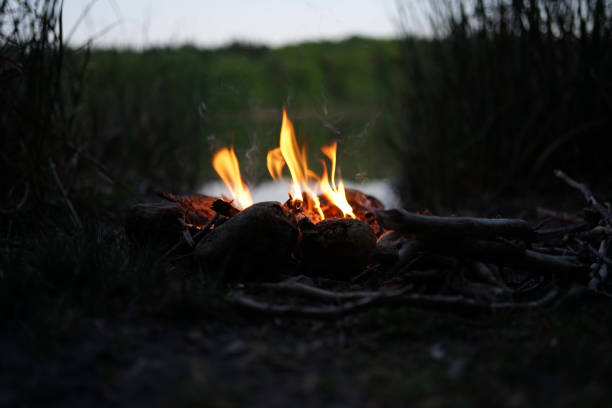istock Bonfire at lake campsite  at dusk 1248609293