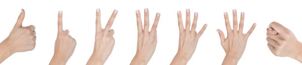 istock Female hand with sign different gestures 1248610659
