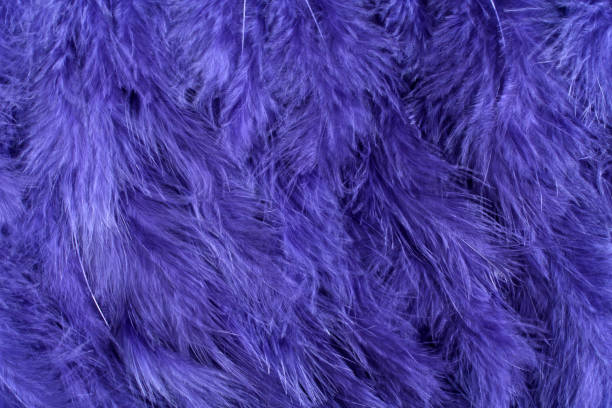 istock Background of small navy blue feathers. 1248610771