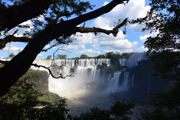 istock Iguazu Falls in Brazil 1248612625