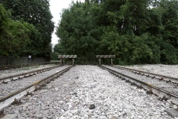 Dead-end tracks with trees behind the end of the rails