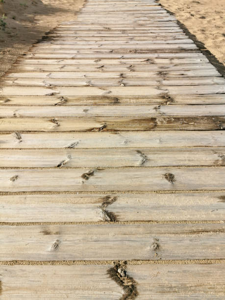istock vertical image of sand beach and wooden path 1248621820