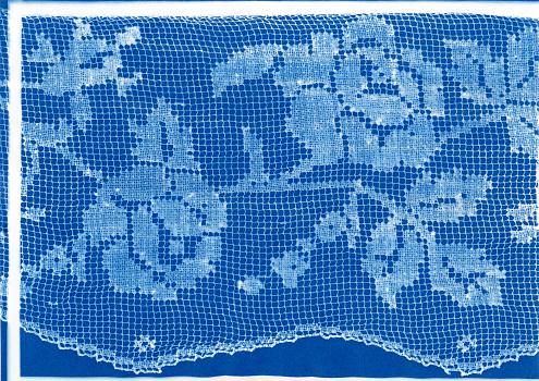 Cyanotype print of rose patterned darned net lace edging.