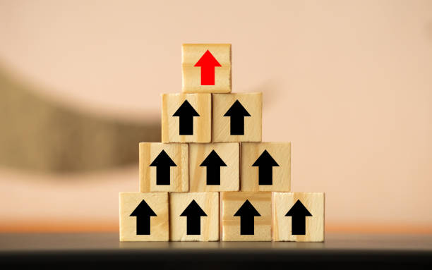 istock Hand arranging wood block stacking as step stair with arrow up. Ladder career path concept for business growth success process 1248623929