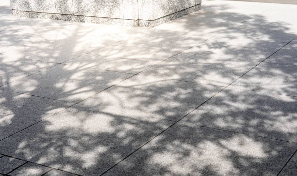 Shadow of leaves reflected on the ground