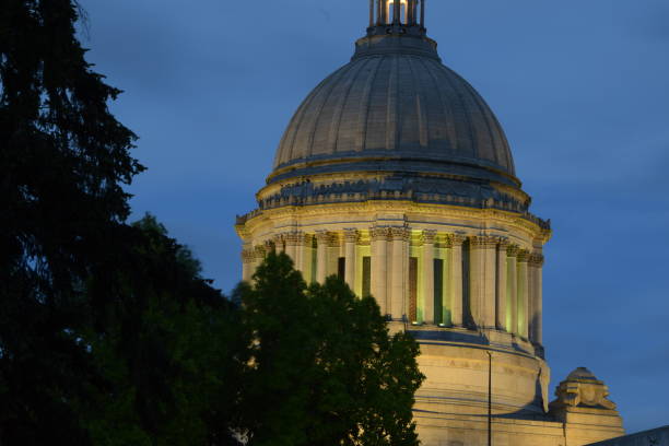istock Capitol Dome Against Silhouetted Coniferous Trees During Dawn 1248627590