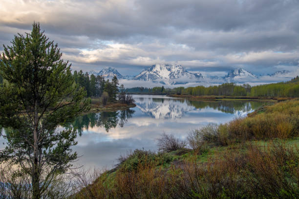 scène de paysage à la rivière de serpent dans le parc national de grand teton - teton range grand teton national park mountain rural scene photos et images de collection