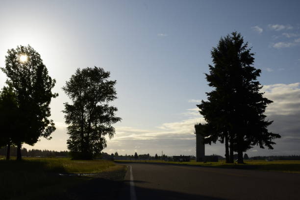 Silhouetted Trees Among The Silhouetted Air Traffic Control Tower On A Cloudy Morning