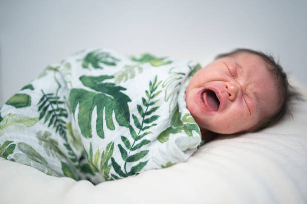 istock Mixed race infant crying in her swaddling blanket 1248630062