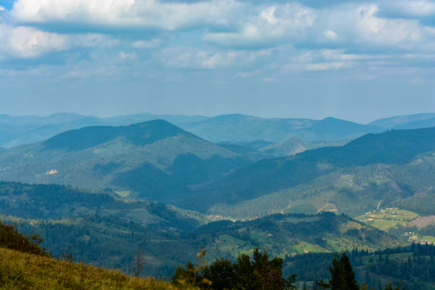 istock Panorama of mountains covered with green forests 1248630302