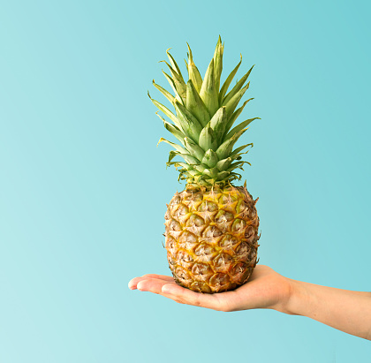 Hand holding a pineapple. Flat lay. Food concept.