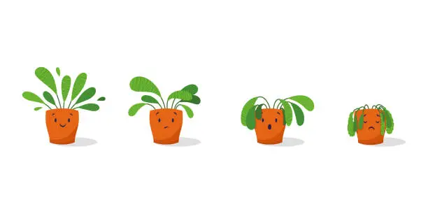 Vector illustration of Cute sad wilted plant in a pot. Stages of withering, abandoned and scared houseplant without watering and care. Potted plant dying. Vector illustration