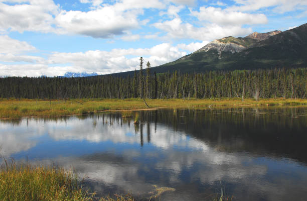istock Alaska- A Beautifully Reflected Landscape in Wrangell National Park 1248630800