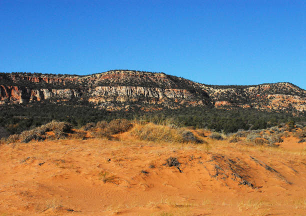 istock Arizona, USA- Panoramic of Colorful Desert Cliffs 1248630807