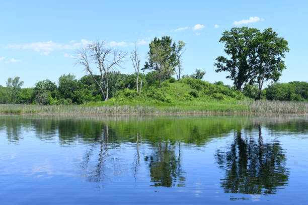 istock Lake shore in a state park, Illinois 1248635409