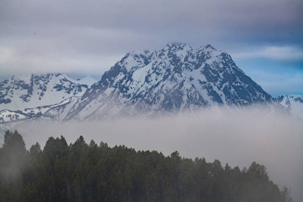 Foggy day in Grand Teton National Park