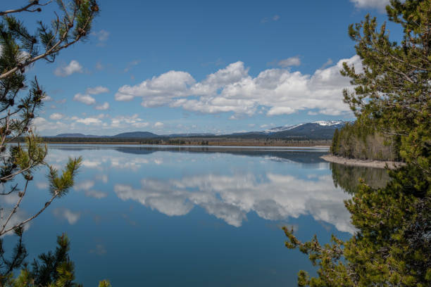 Adventuring through Yellowstone National Park in July