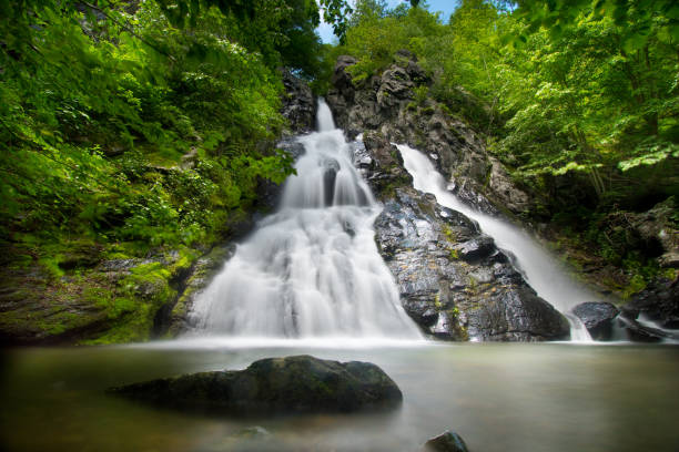 south river falls hiking trails: parco nazionale di shenandoah - virginia - shenandoah river valley foto e immagini stock