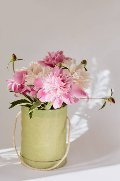 istock beautiful box with fresh pink peonies. shadows on a white background. greeting card concept 1248637816
