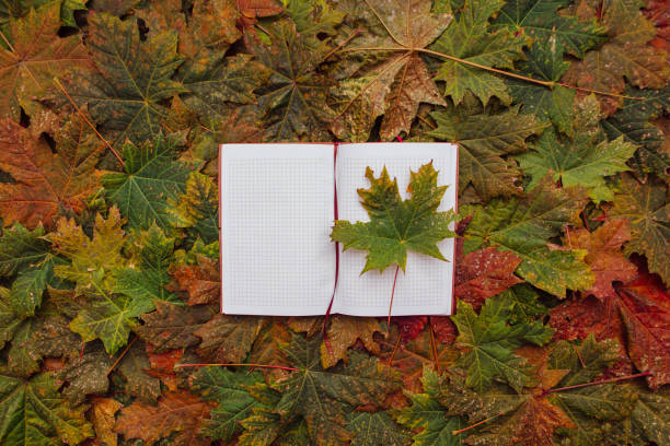 istock Notebook with red and yellow leaves. 1248637878