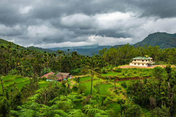 house at remote village isolated with mountain coverd clouds and green forest - munnar imagens e fotografias de stock