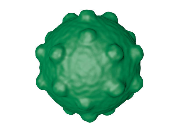 komórki coronavirus lub cząsteczki bakterii. wirus covid-19. wirus wyizolowany na białym. bakterie, organizm zakażony komórkami. renderowanie 3d - model organism zdjęcia i obrazy z banku zdjęć