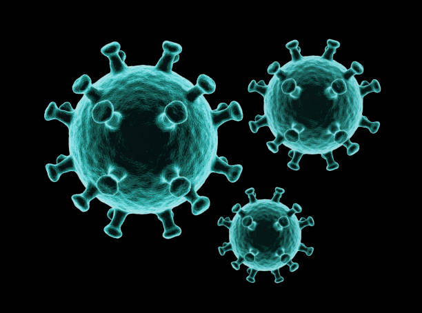 coronavirus-zellen oder bakterienmoleküle. virus covid-19. virus isoliert auf schwarz. bakterien, zellinfizierter organismus. 3d-rendering - bacterium virus micro organism microscope stock-fotos und bilder