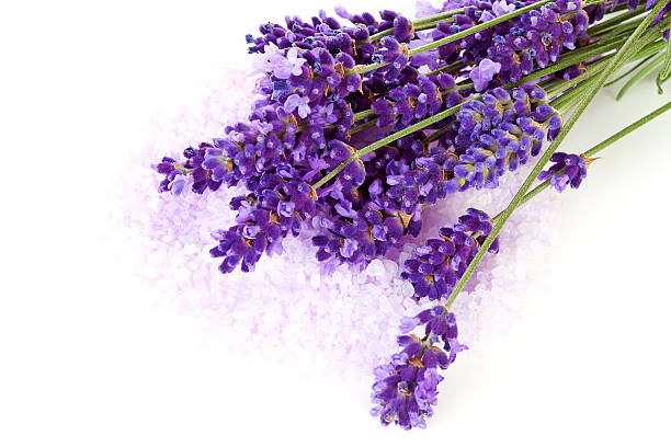 istock Lavender flowers and pink bath salts 124865281