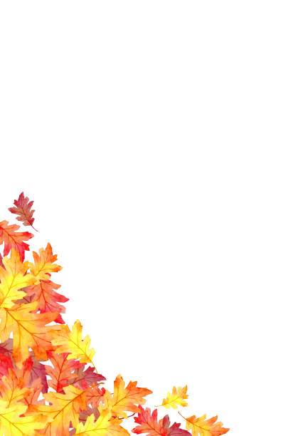 istock frame of red leaves in autumn concept  isolated on white background. Flat lay, top view. 1248653673