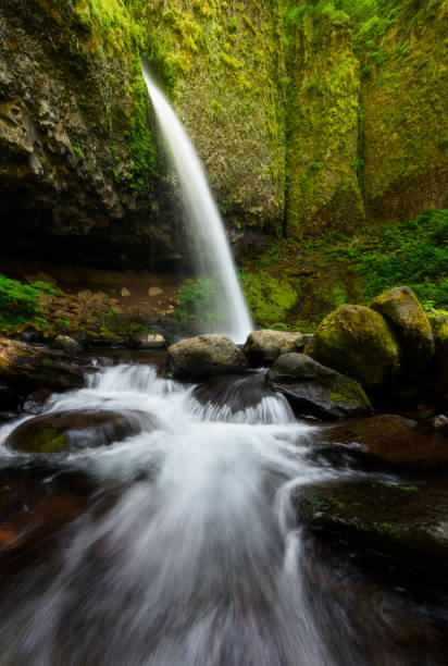 Ponytail Falls,  Columbia River Gorge, Oregon, USA