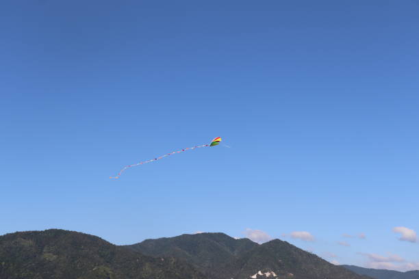 istock Kite in the blue sky summer time 1248661616