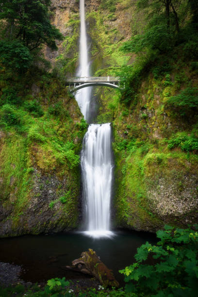 istock Multnomah Falls, Oregon, USA 1248663333