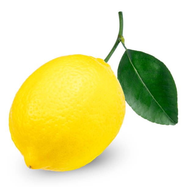 istock Fresh ripe lemon isolated on white background, Lemon Fruit on a white background, With clipping path 1248665207