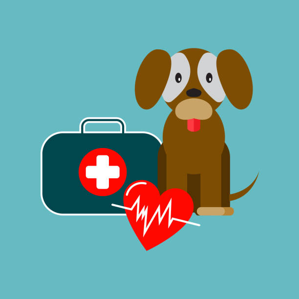 illustrazioni stock, clip art, cartoni animati e icone di tendenza di kit cane e pronto soccorso - dog first aid first aid kit assistance