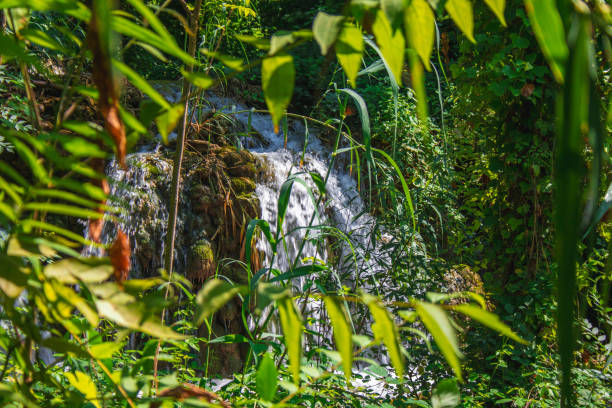 istock Krka National Park in Croatia 1248666750